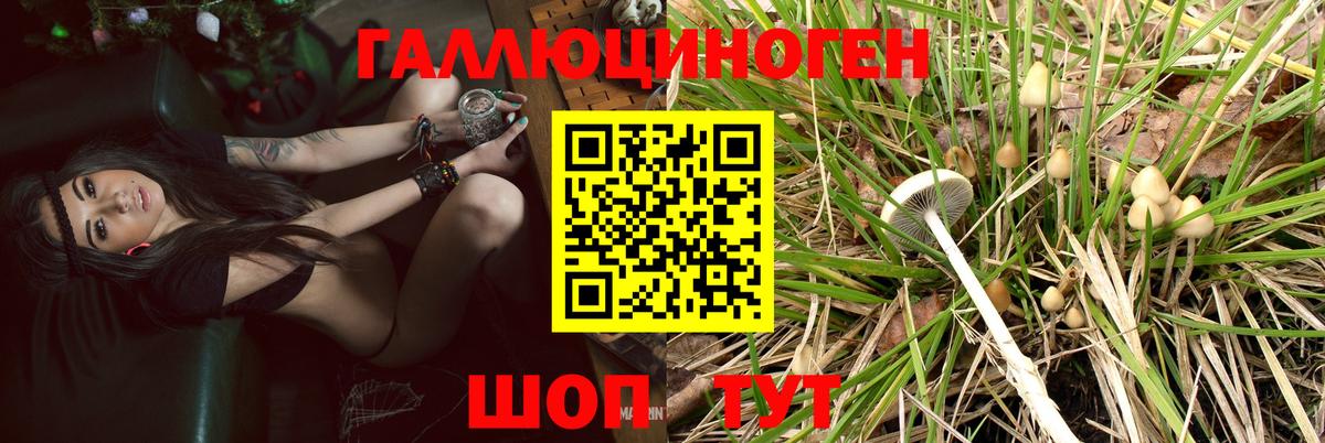 Анапа  Псилоцибиновые грибы ЛСД  Вход с VPN 